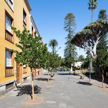 Home2book Vintage American Deluxe